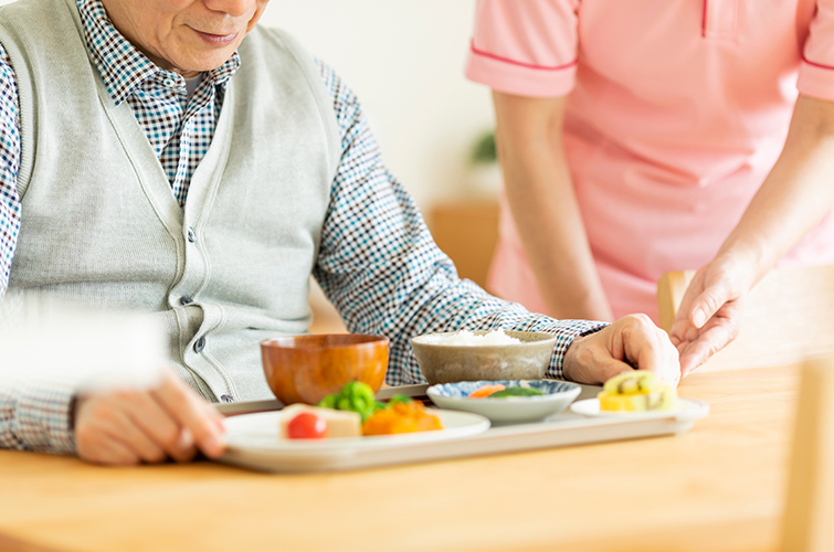 高齢者食・介護食のご提案